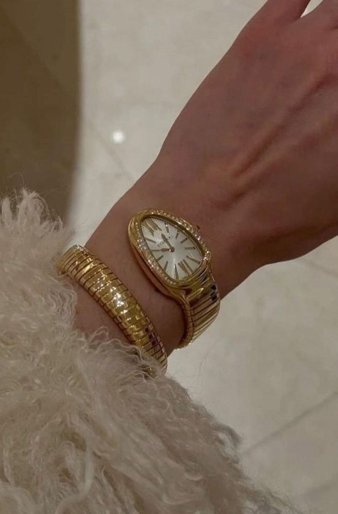 Carolina Snake Watch